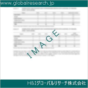 グローバルリサーチ調査資料のイメージ